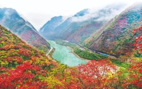 不負(fù)美景不負(fù)秋！不管你去不去，這份秋日攻“略”都值得收藏！縮略圖