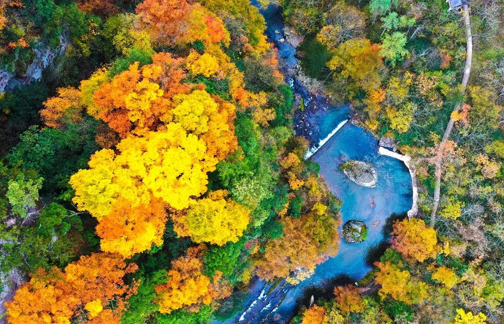 重磅！漢中這家4A景區(qū)全民免門票！