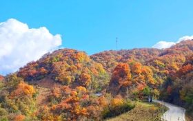又是一年彩林季，漢江源彩林搶先看~縮略圖