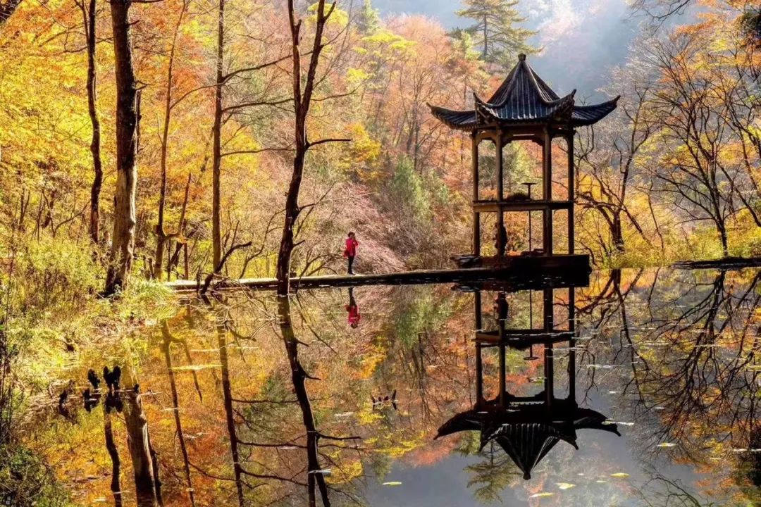 10月1日，漢中黎坪景區(qū)秋高氣爽、景色秀美，還不擁擠，趕緊出發(fā)嘍！