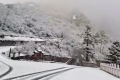 就在今天，陜西太白山又下雪了！縮略圖