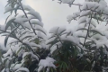 強(qiáng)風(fēng)雨天氣來(lái)襲，24日正式進(jìn)入霜降節(jié)氣縮略圖
