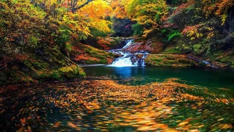 10月1日，漢中黎坪景區(qū)秋高氣爽、景色秀美，還不擁擠，趕緊出發(fā)嘍！