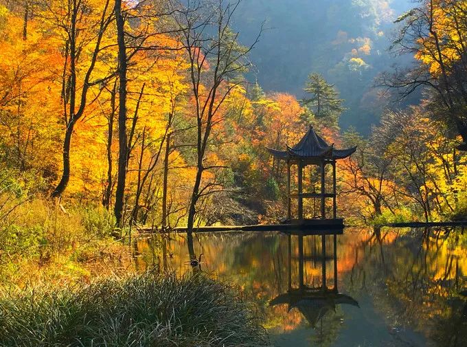 重磅！漢中這家4A景區(qū)全民免門票！