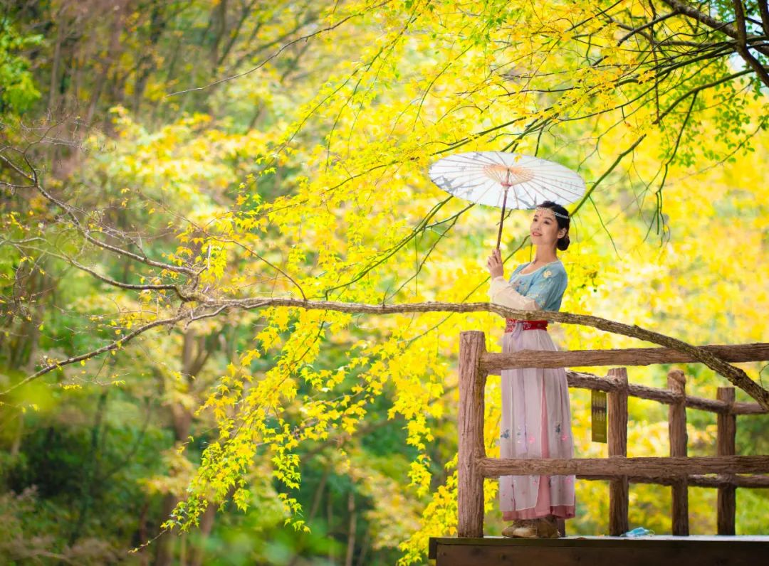 10月1日，漢中黎坪景區(qū)秋高氣爽、景色秀美，還不擁擠，趕緊出發(fā)嘍！