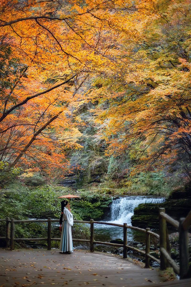 10月1日，漢中黎坪景區(qū)秋高氣爽、景色秀美，還不擁擠，趕緊出發(fā)嘍！