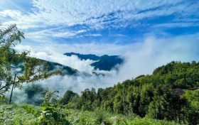 鎮(zhèn)巴最新出游打卡地，讓你心動(dòng)又驚喜!縮略圖