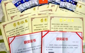 優(yōu)秀！城固縣兩名學(xué)生喜獲世界機(jī)器人大賽國賽二等獎(jiǎng) →縮略圖