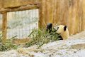 漢中多地下雪了，陜西氣象最新發(fā)布→縮略圖
