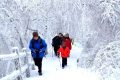 隨著冷空氣的抵達，陜西迎來一份雨雪、降溫、吹風天氣過程縮略圖