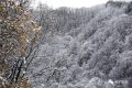 雨雪天氣今晚就到！安全防御指南請收好→縮略圖