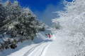 一場(chǎng)浪漫冬雪，讓鎮(zhèn)巴美出圈！縮略圖