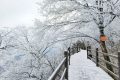 龍頭山今日又下雪啦，每一幀都是“限定浪漫”！縮略圖