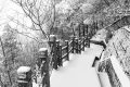 冷?冷?冷?，最低零下 6 ℃ ，漢臺(tái)迎來新一輪降溫降雪，詳情→縮略圖