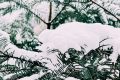 漢中，下雪啦！縮略圖