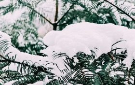 漢中，下雪啦！縮略圖
