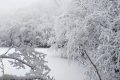 漢江源冰雪季 | 賞雪、嬉雪、看冰瀑，邂逅冬日的浪漫縮略圖