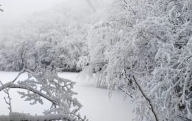 局地積雪可達(dá)10cm！冰雪路面如何安全行車？縮略圖