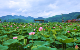 即將啟用監(jiān)控設(shè)備！設(shè)置地點→縮略圖