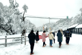 太美啦！漢江源景區(qū)下雪啦！滑雪場(chǎng)也即將開放！縮略圖