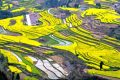 不負(fù)好春光！寧強(qiáng)這4條春季旅游線路快收藏！縮略圖