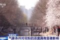 氣象條件對花粉濃度有哪些影響？花粉季要注意什么？專家解答縮略圖