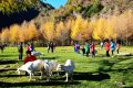 留壩入選“五一”最美鄉(xiāng)村旅游目的地！縮略圖