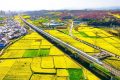 坐上高鐵去漢中，共赴一場浪漫之旅！縮略圖