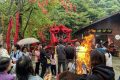 抓住假期的尾巴，來漢中這里不負(fù)千里迢迢的旅程！縮略圖