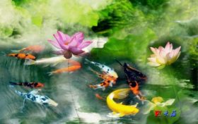 漢臺(tái)荷花盛放！一場(chǎng)夏日的賞花之旅等待您的到來(lái)縮略圖