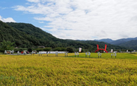 全省推介！漢中2路線入選→縮略圖