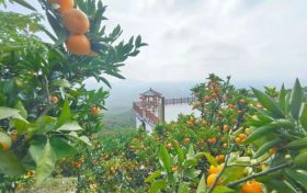 爭(zhēng)做文明游客，不負(fù)城固美景！縮略圖