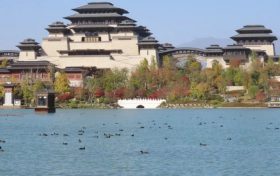 最會(huì)游泳的“雞”——白骨頂，又來(lái)興漢勝境過(guò)冬啦！縮略圖