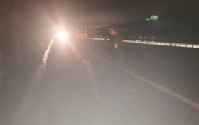 有“警”無險！老人迷路誤入高速，交警及時救助縮略圖