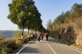 1月5日，漢中氣象發(fā)布大霧黃色預(yù)警信號縮略圖