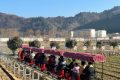 開門紅！全縣首輛！鱘游佛坪“熊貓?zhí)枴毙』疖囌竭\(yùn)行→縮略圖