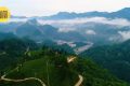 鎮(zhèn)巴楮溪源：山川之美創(chuàng)4A，茶旅融合新畫卷縮略圖