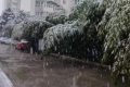 明顯降溫！陜西新一波雨雪即將到來縮略圖