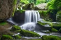 尋夢(mèng)油菜花海，探秘漢江之源：三天兩晚奇遇之旅縮略圖