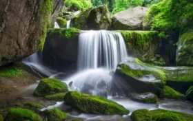 尋夢(mèng)油菜花海，探秘漢江之源：三天兩晚奇遇之旅縮略圖