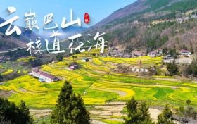 寧強(qiáng)巴山梯田油菜花，藏著漢中最立體的春天！縮略圖