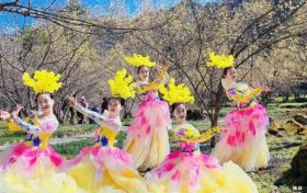 3月22日，王家灣村，茱萸花海踏春游活動(dòng)來啦！縮略圖