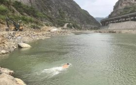 縱身激流顯擔(dān)當(dāng)！略陽(yáng)公安民警以身為舟托起生命希望縮略圖
