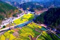 鎮(zhèn)巴簡池鎮(zhèn)李塘村：春日河畔花海，宛如水墨仙境縮略圖