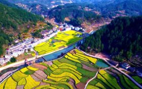 鎮(zhèn)巴簡池鎮(zhèn)李塘村：春日河畔花海，宛如水墨仙境縮略圖